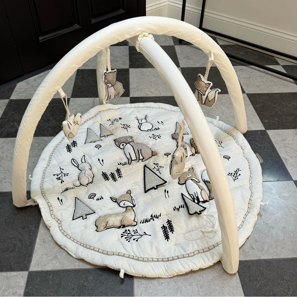 Crate & kids Activity Mat Play Gym NWOT